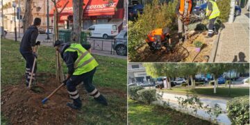 Εκτεταμένες Δεντροφυτεύσεις Σε Όλη Την Ηλιούπολη